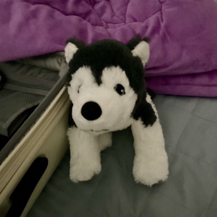 퍼덕이네 걷기 그룹 예건 post image