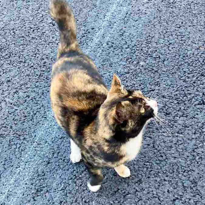 퍼덕이네 걷기 그룹 예건 post image