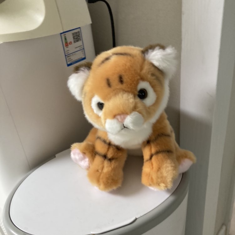 퍼덕이네 걷기 그룹 퍼덕이네 걷기 그룹 post image