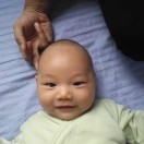 花果山桃园三结义大观园智取生辰纲