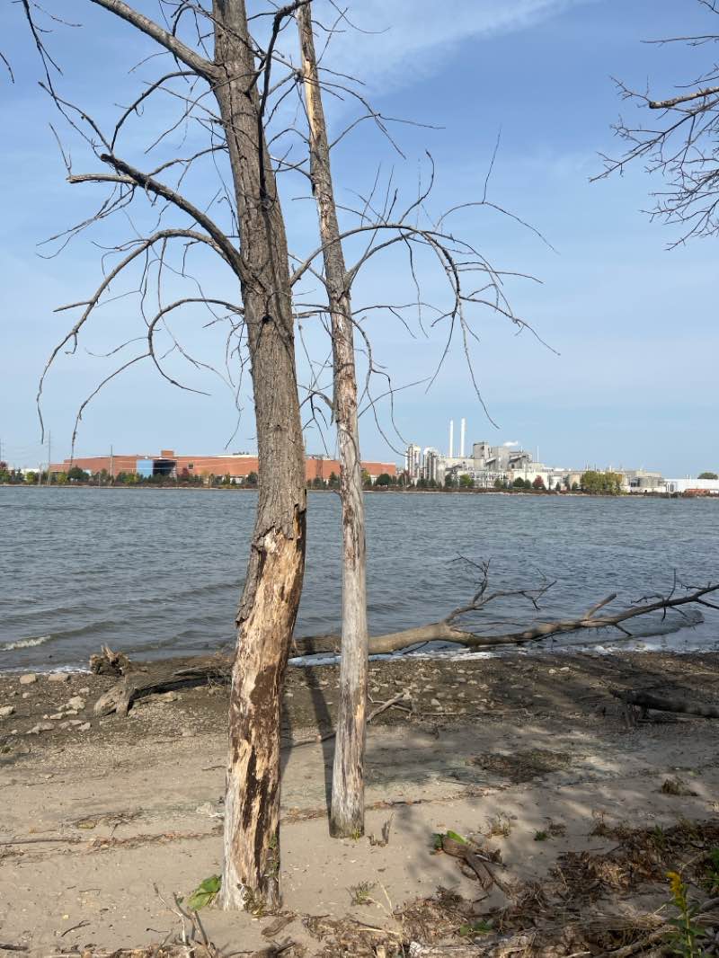 walking near me in Heritage Hill State Historical Park in winter