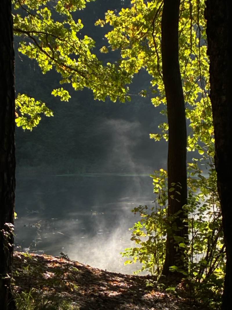 walking near me in Парк "Раздолье" in autumn