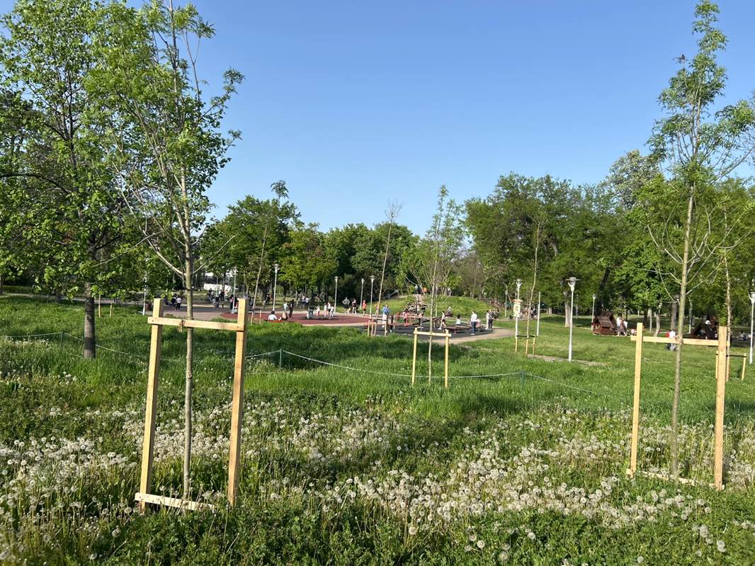 walking near me in Parcul Copiilor Ion Creangă in spring