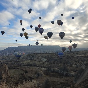 Гавхар profile