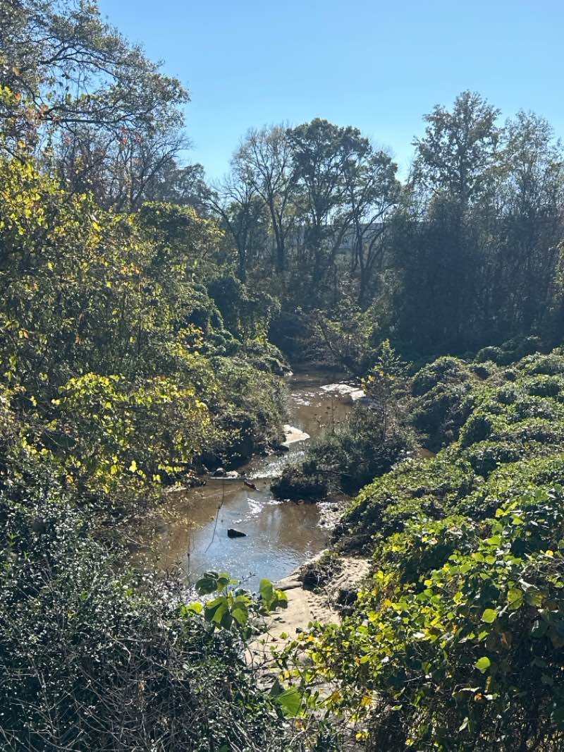 walking near me in Aviation Park in winter