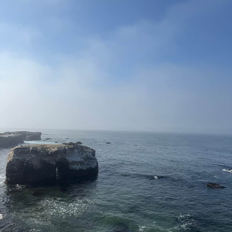 BioLife Gurlsss Isabel post image