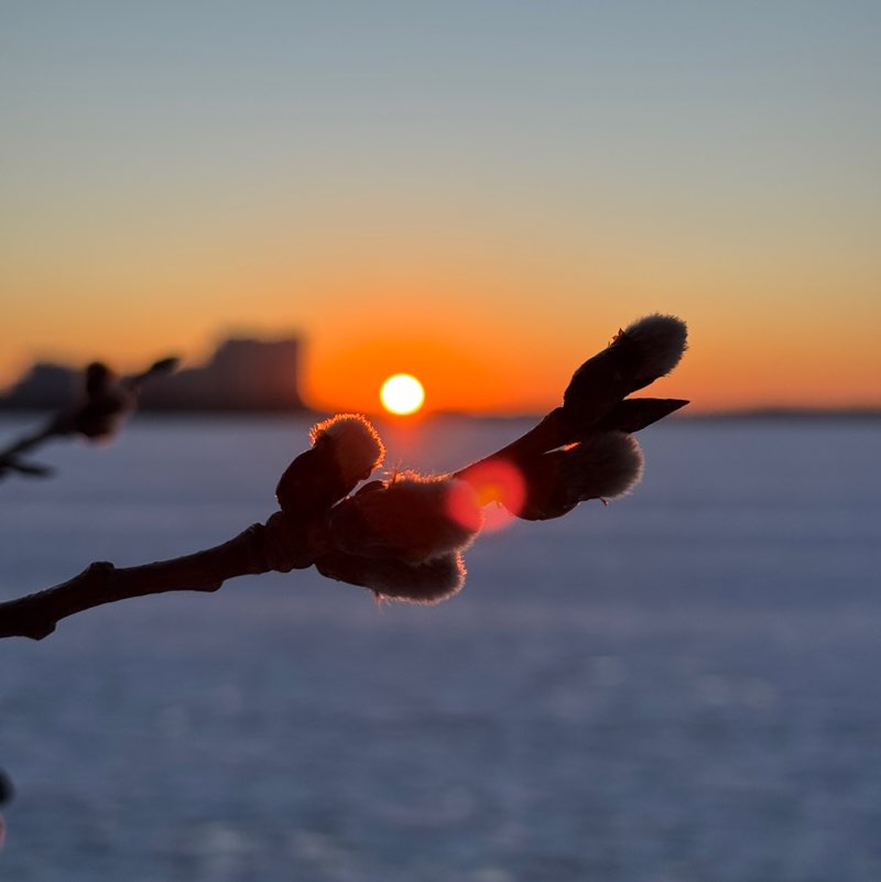 Шагаем вместе Татьяна post image