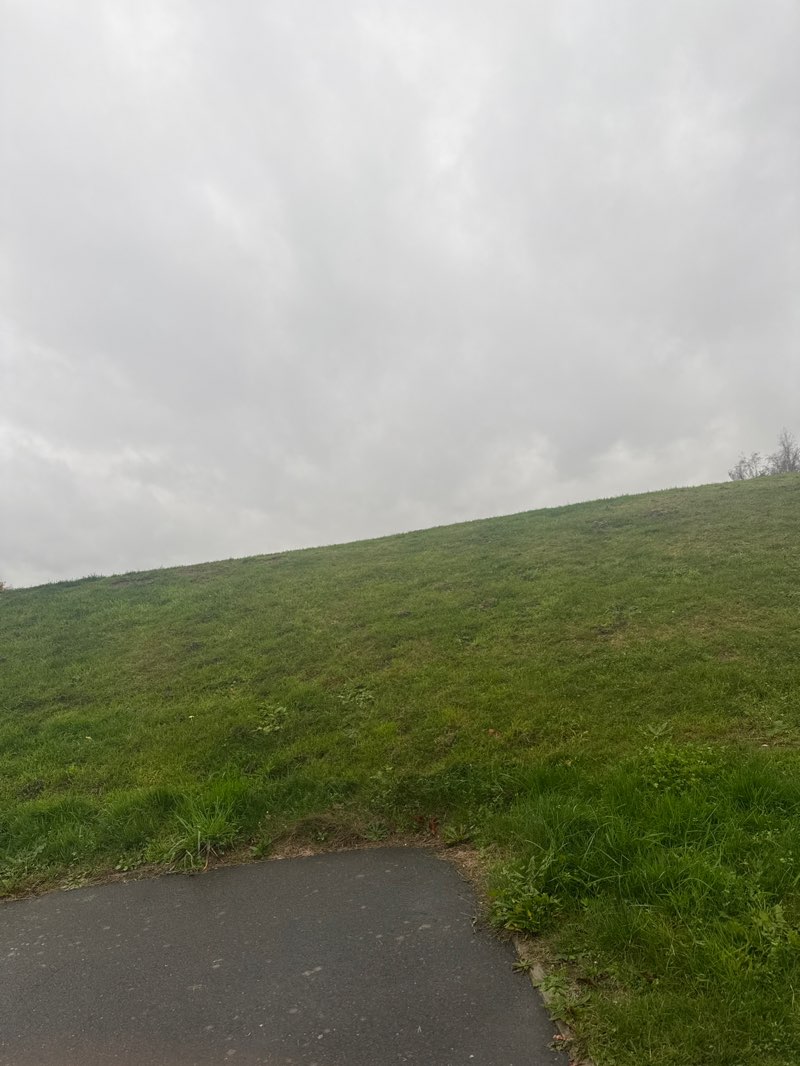 walking near me in Webster's Park in autumn