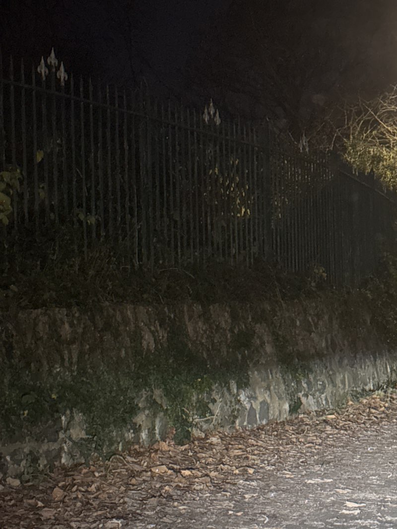 walking near me in Hickman Park in autumn