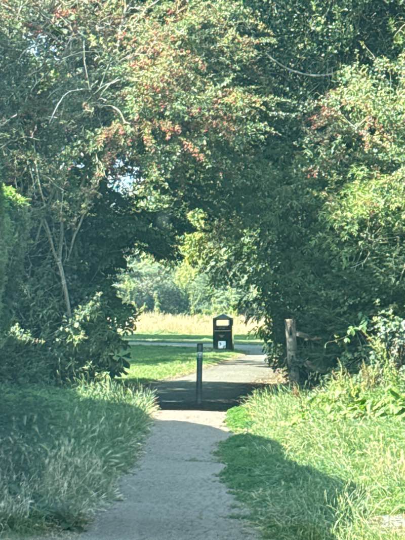 walking near me in Allesley Park in autumn