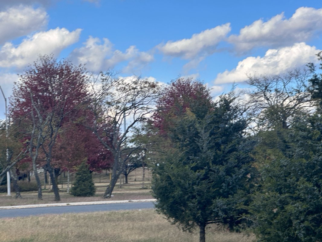 walking near me in Marine Park in autumn