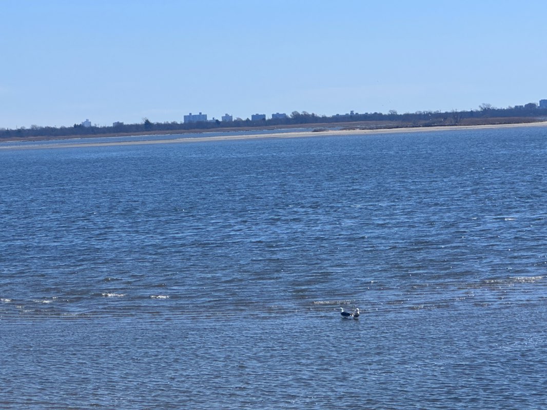 walking near me in Marine Park in spring