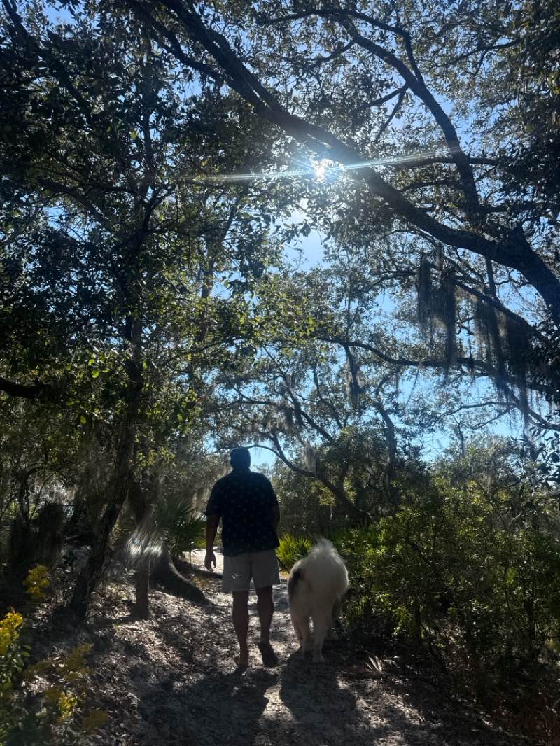 walking near me in Richard Seltzer Park in autumn