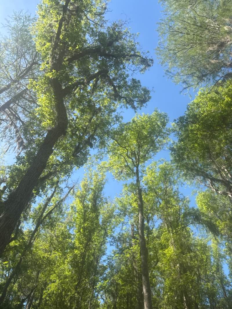 walking near me in Panama City Beach Conservation Park in spring