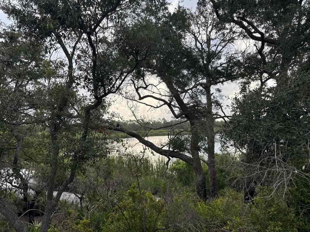walking near me in Saint Andrews State Park in summer