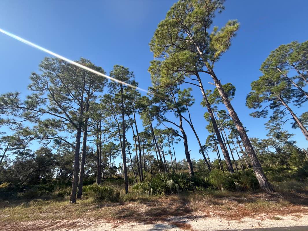 walking near me in Saint Andrews State Park in autumn
