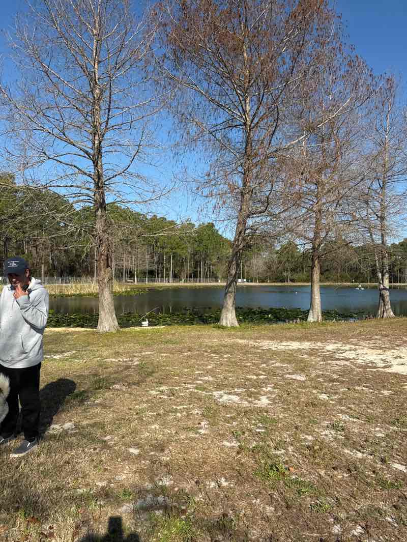 walking near me in Frank Brown Park in spring