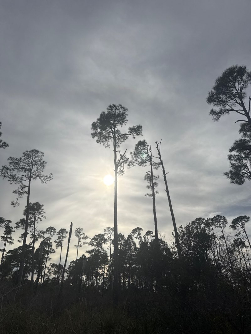 walking near me in Saint Andrews State Park in winter