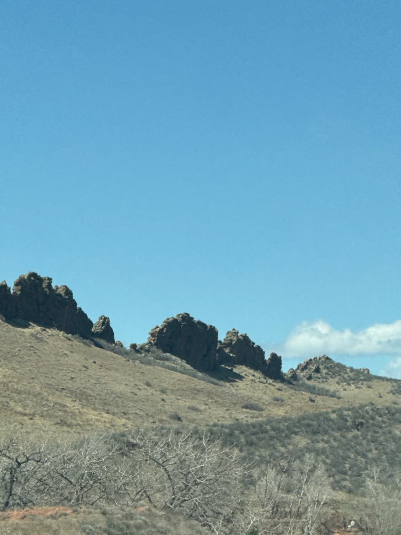 walking near me in Devils Backbone Open Space in spring