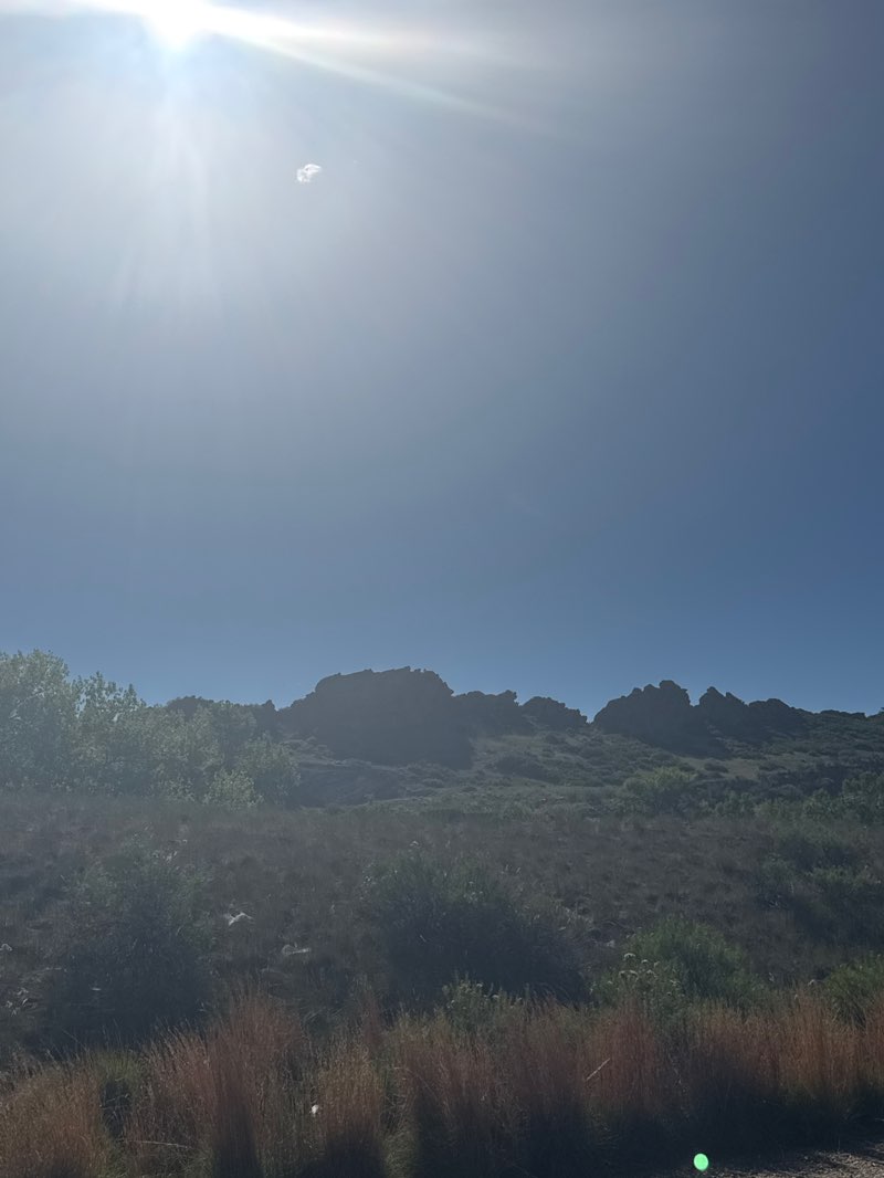 walking near me in Devils Backbone Open Space in summer