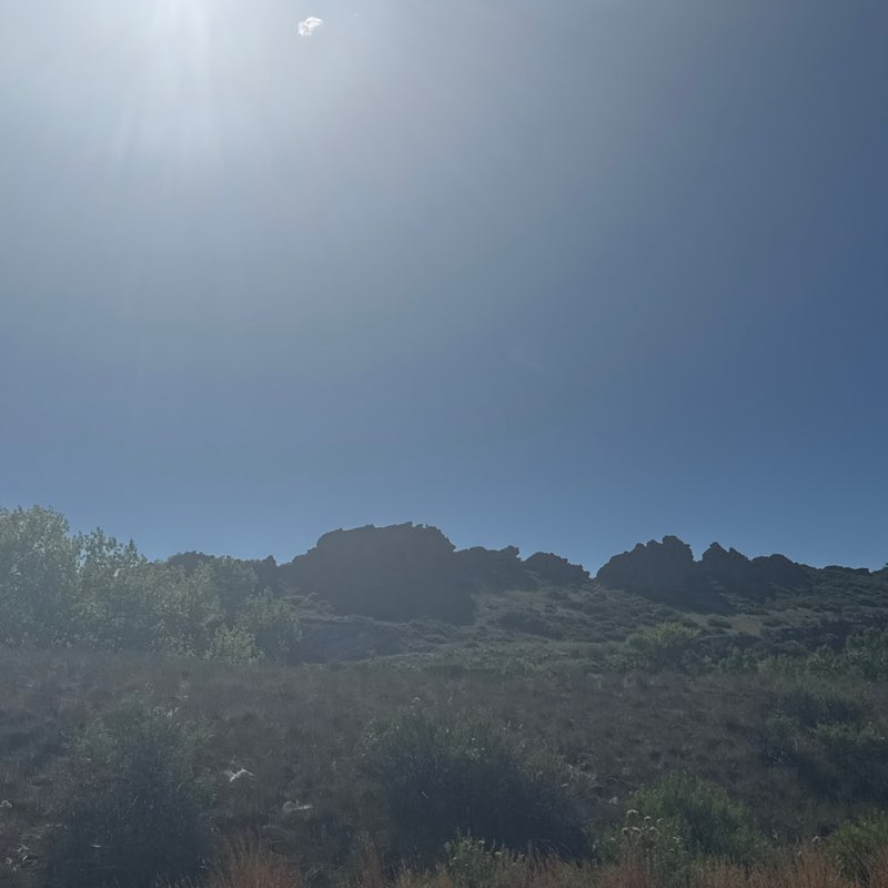 Lily post 1