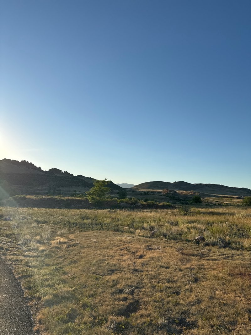 walking near me in Devils Backbone Open Space in summer