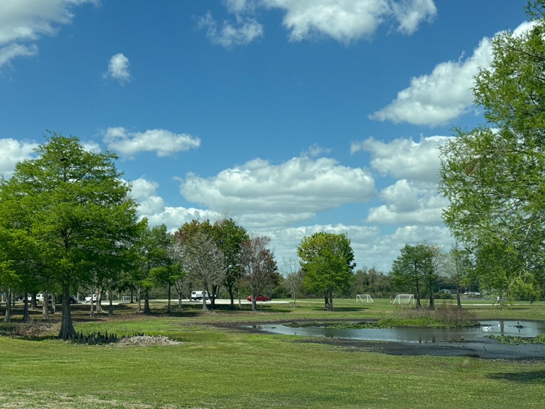 walking near me in Barber Park in spring