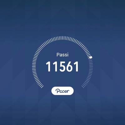 MOVIMENTO = SALUTE luca lanzafame post image