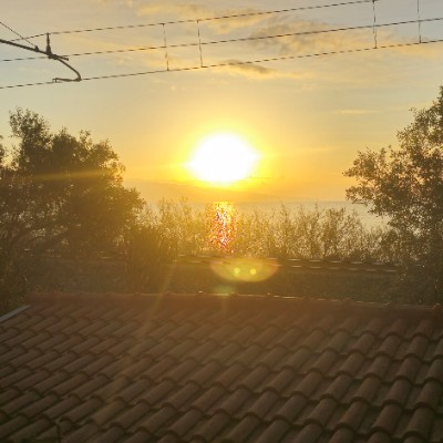 MOVIMENTO = SALUTE luca lanzafame post image