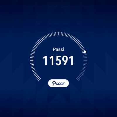 MOVIMENTO = SALUTE luca lanzafame post image