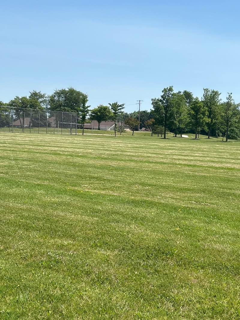 walking near me in Meadowview School Park in summer