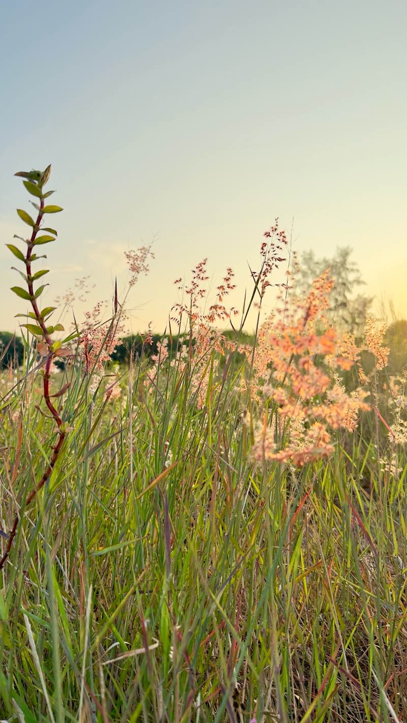 walking near me in Kuala Terengganu Family Park in autumn
