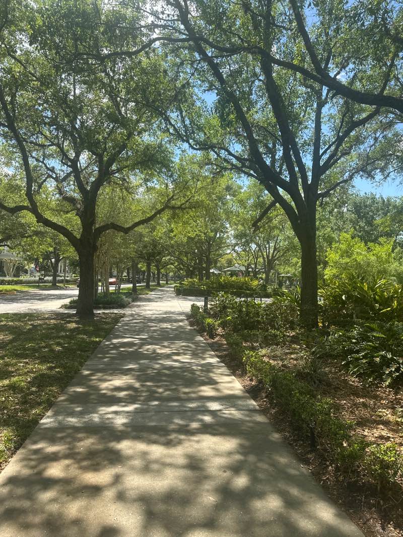 walking near me in Commons Park in spring