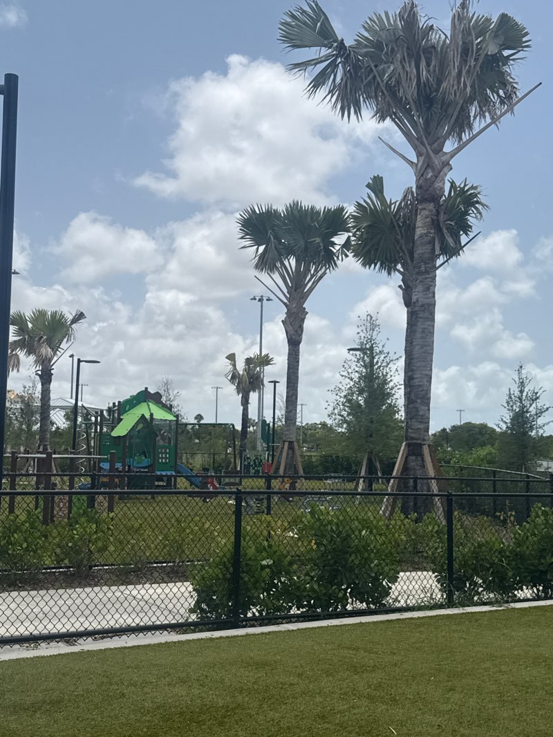 walking near me in Doral Central Park in summer
