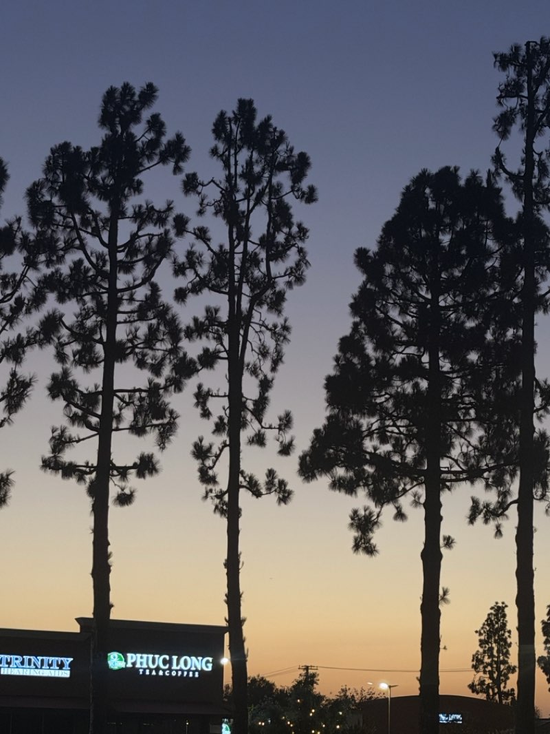 walking near me in Fountain Valley Sports Park in summer