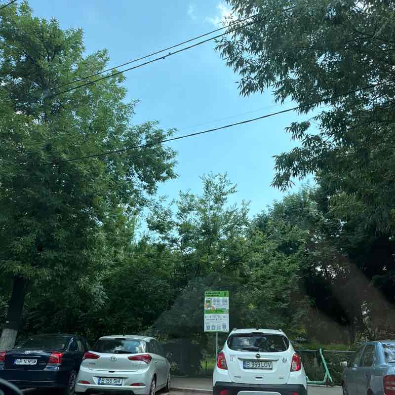 Madalina post 1