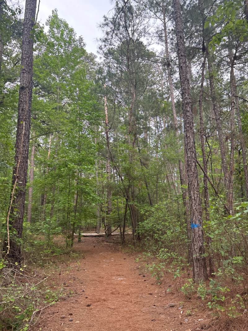 walking near me in Polo Road Park in spring