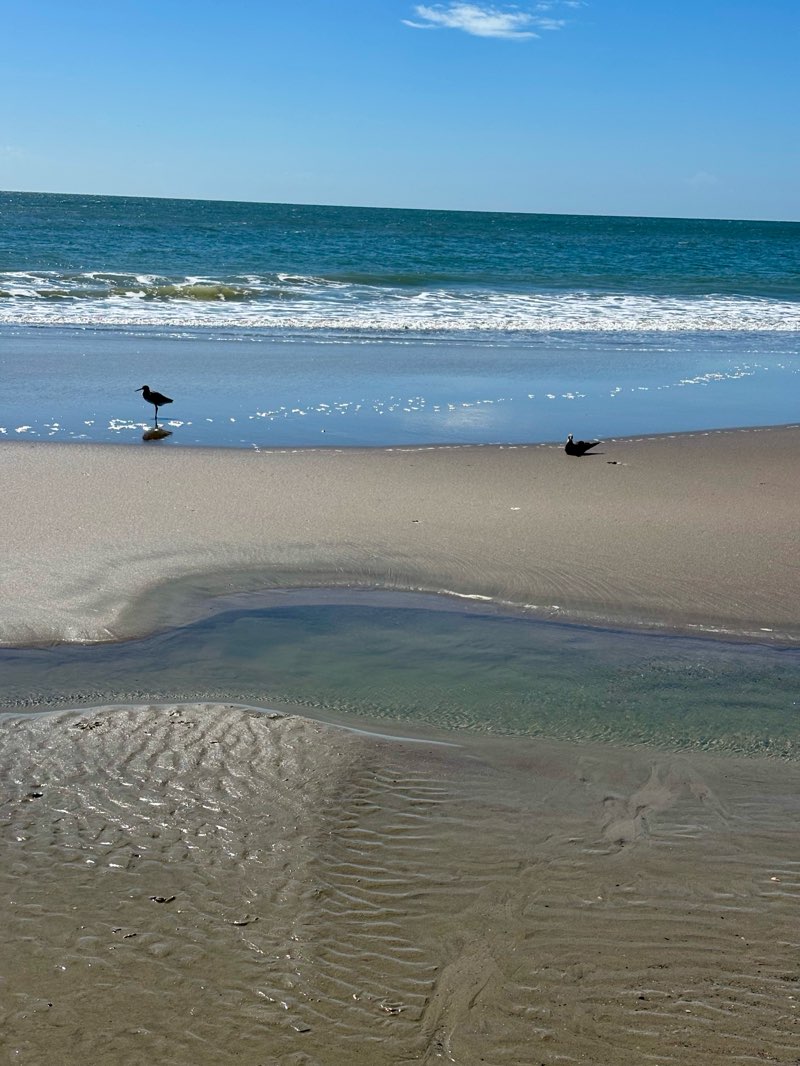 walking near me in The Point in autumn