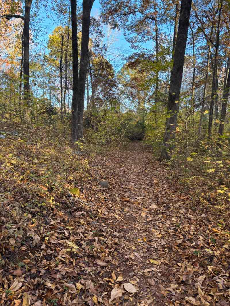 walking near me in Haw River State Park in autumn