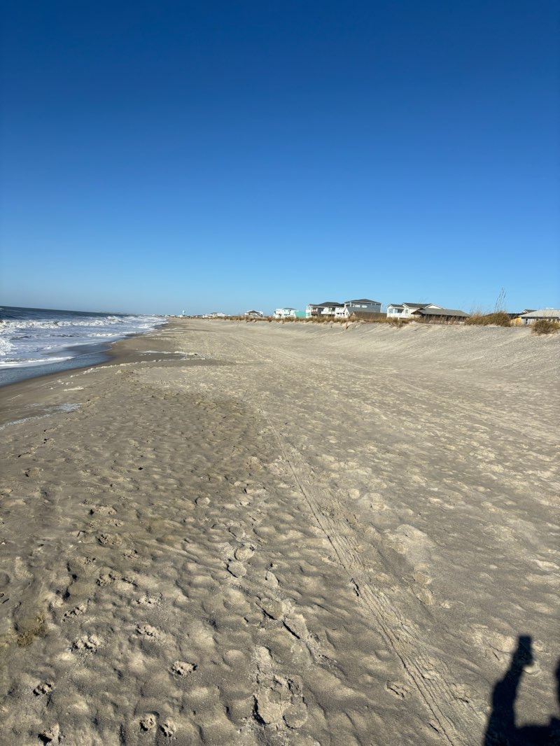 walking near me in Middleton Park in winter