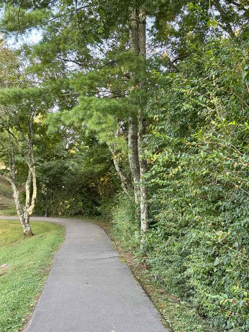 walking near me in Maryland Way Park in autumn
