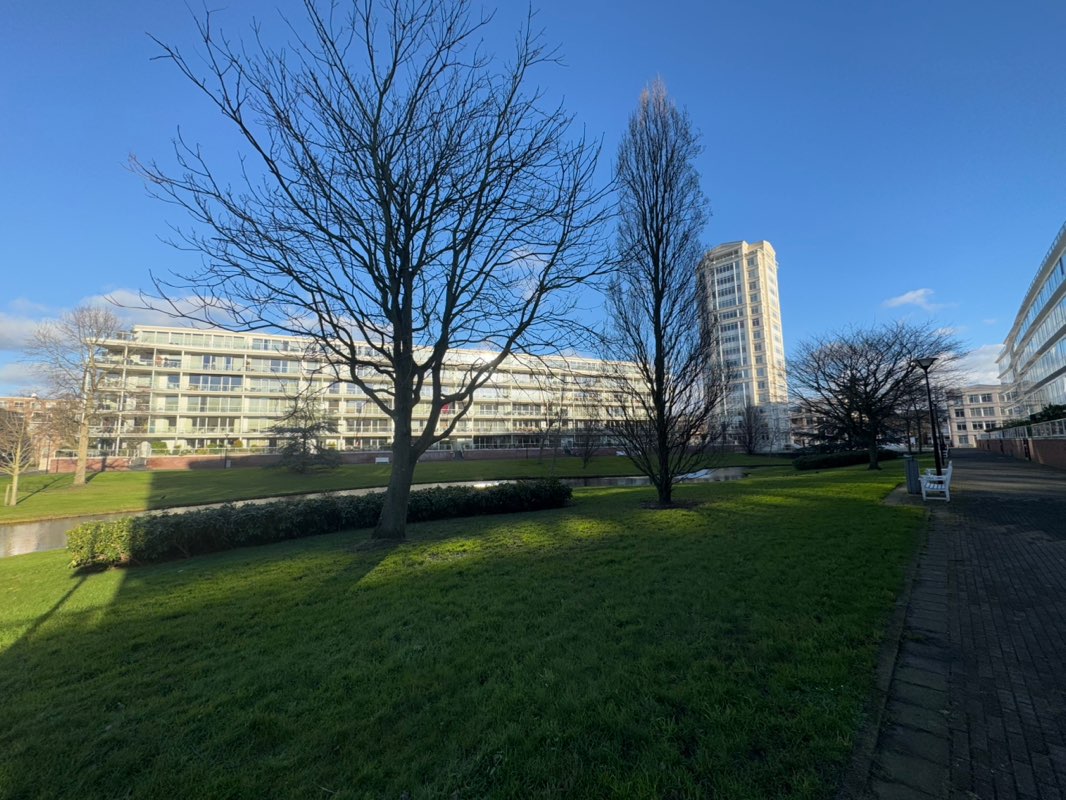 walking near me in Burgemeester De Monchyplantsoen in winter