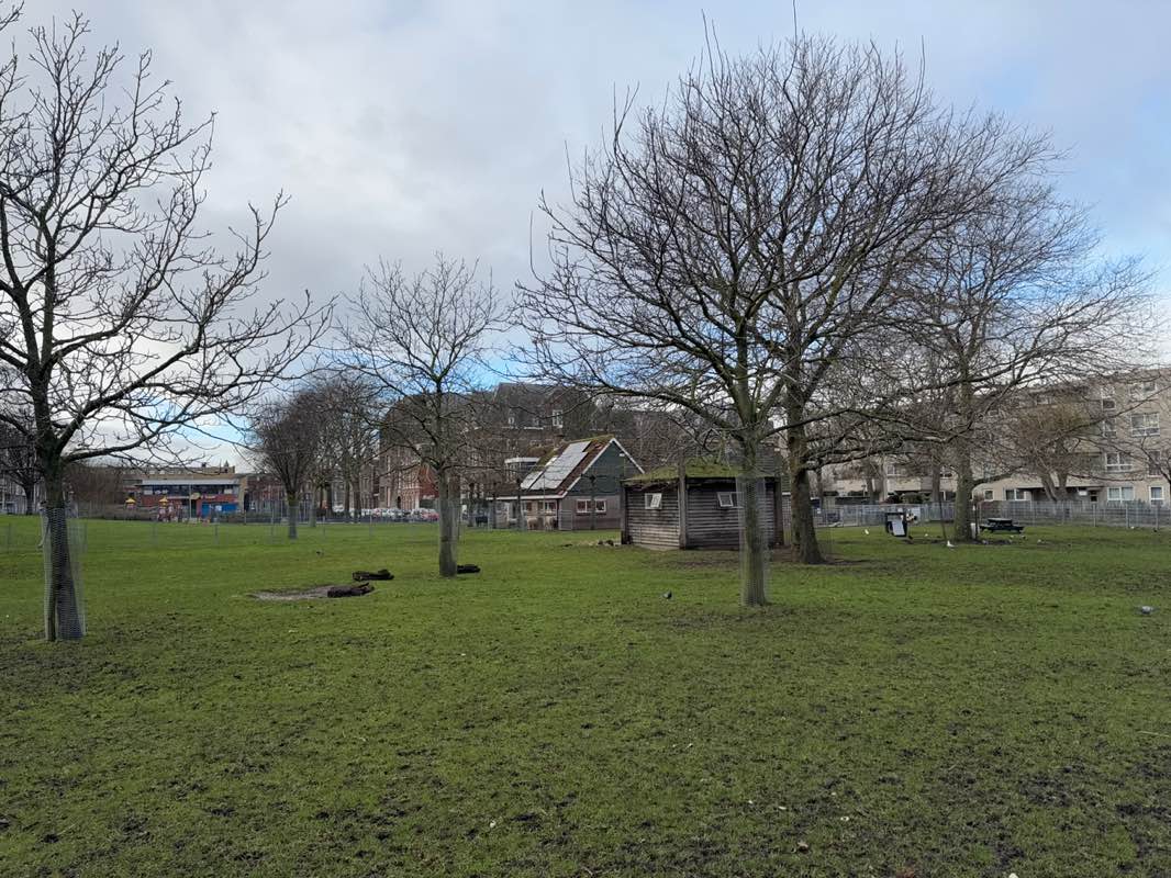 walking near me in Hannemanplantsoen in winter