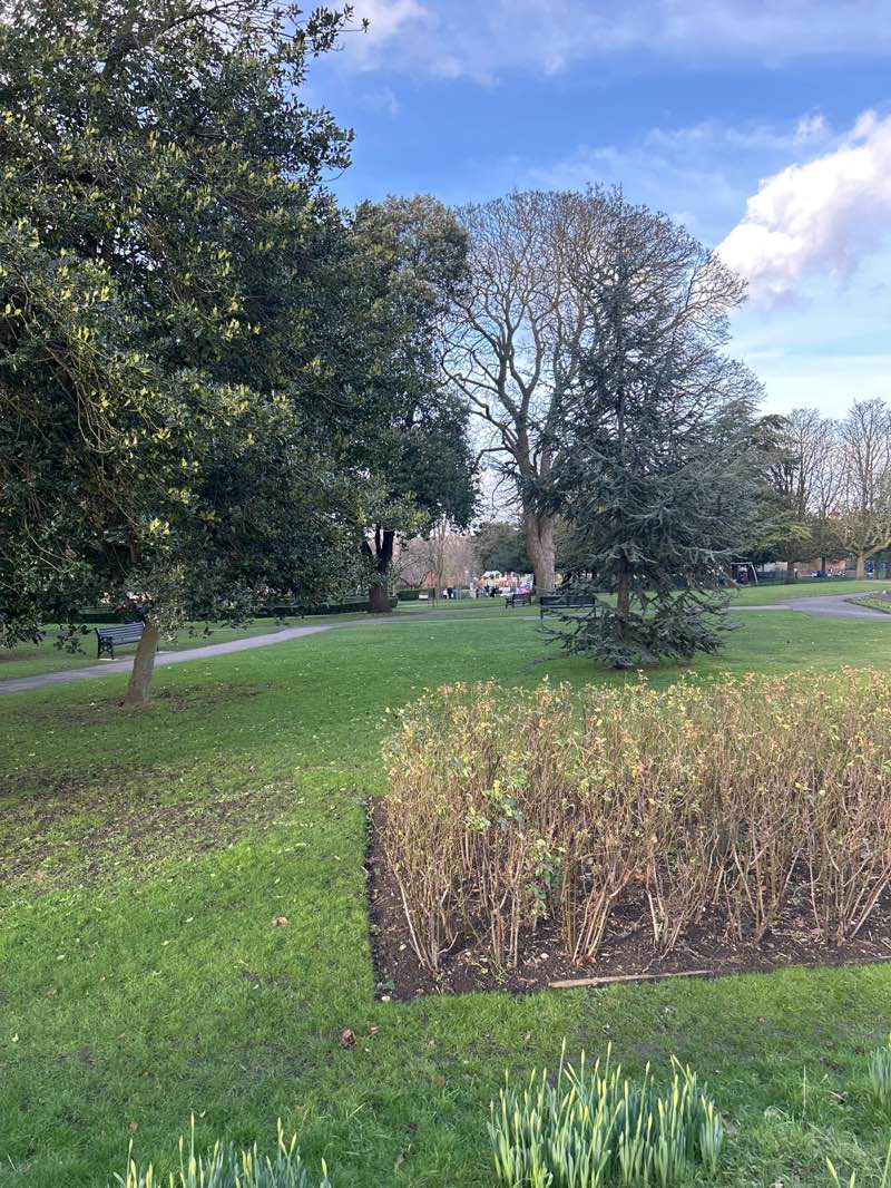 walking near me in Manor Park in winter