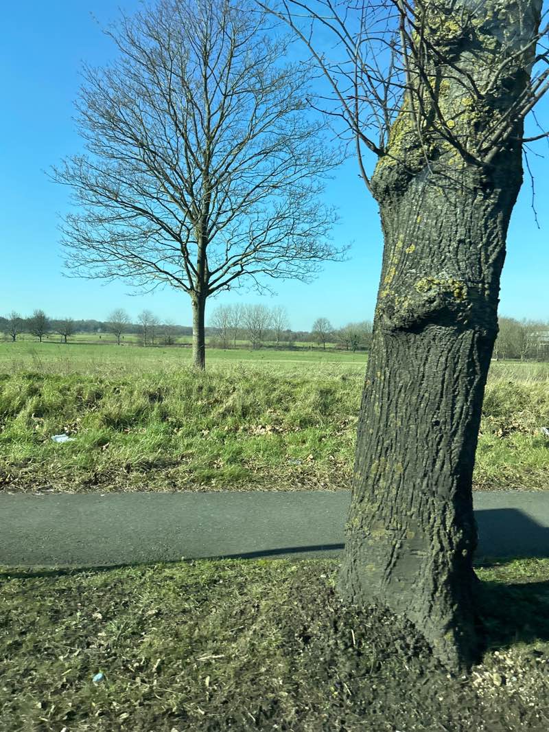 walking near me in Roundshaw Downs in winter