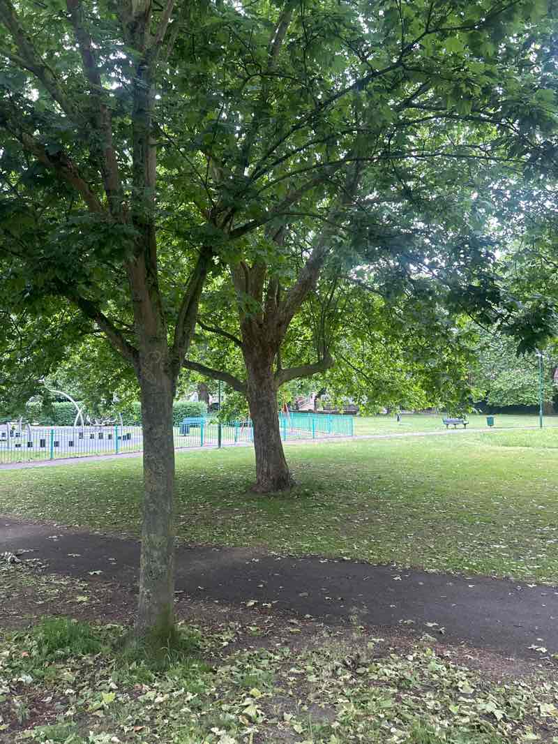 walking near me in The Green in spring
