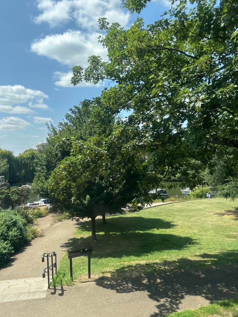 walking near me in Buccleuch Gardens in summer