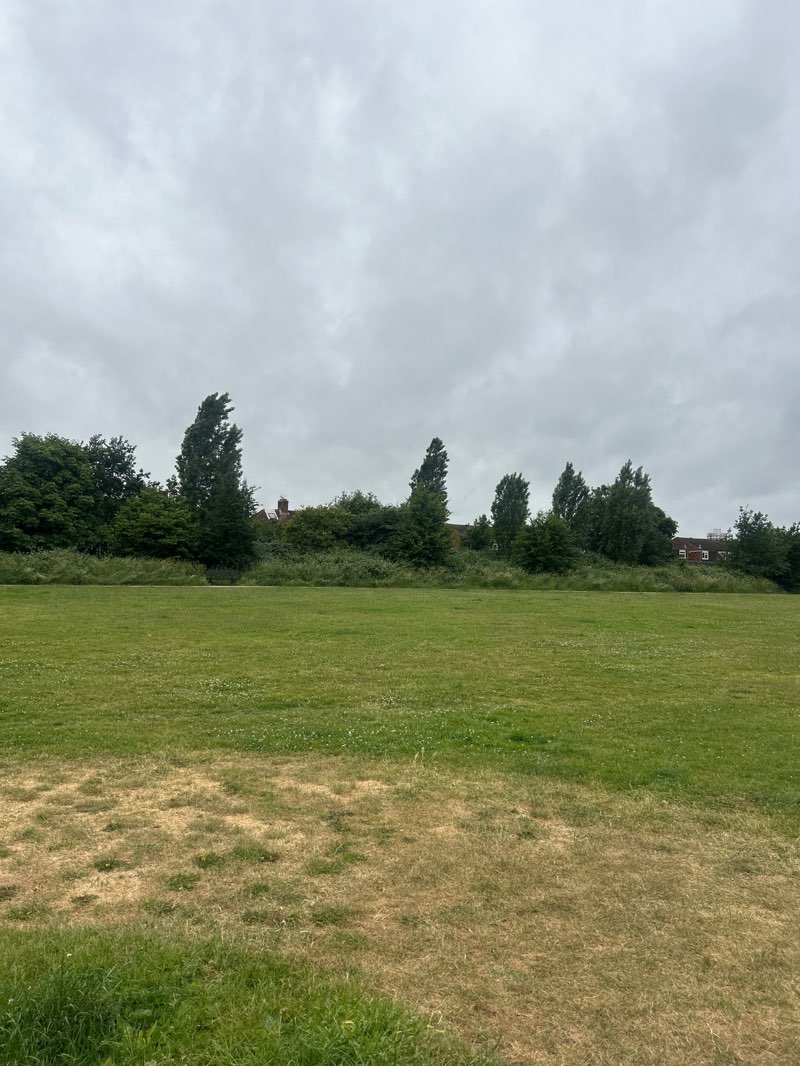 walking near me in Dickerage Recreation Ground in summer