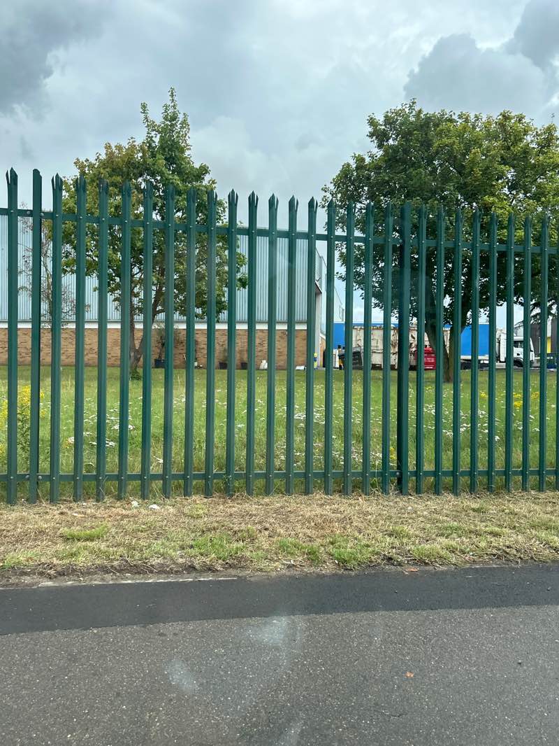 walking near me in Chester Road Park in autumn
