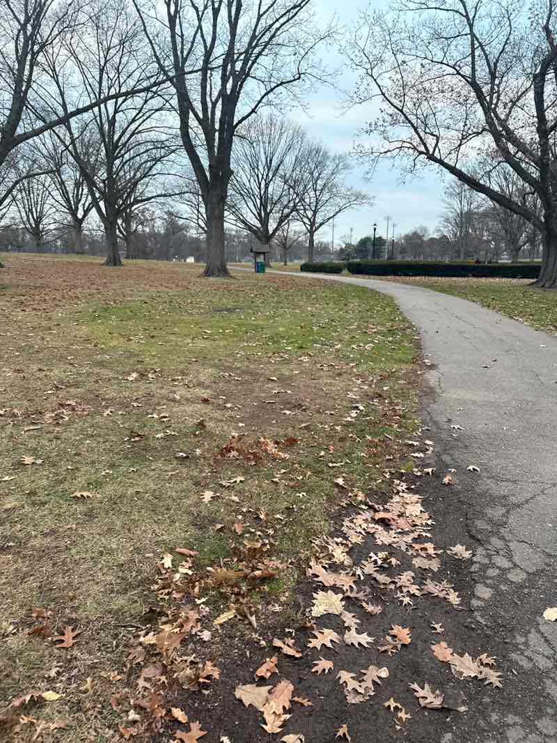 walking near me in Warinanco Park in winter